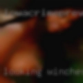 Looking Winchester